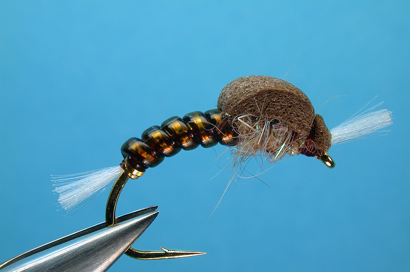 Floating Midge Pupa