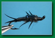 low_water_black_stonefly