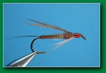 flicks_early_brown_stonefly_wet