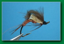 wilsons_winged_emerger