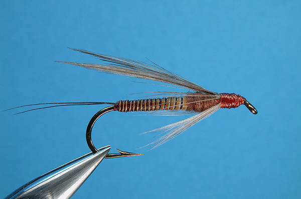 Early Brown Stonefly