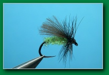 grayling2_chartreuse