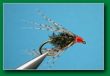 soft_hackle_peacock