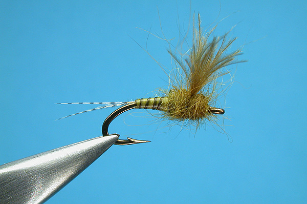 Cdc Bwo Emerger