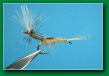 sweeper_mayfly_emerger