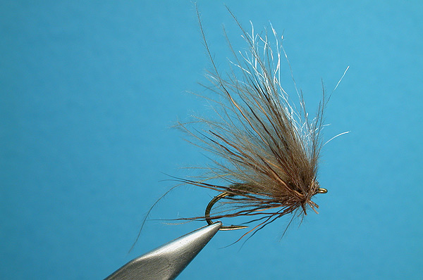 CDC Caddis Emerger, Olive