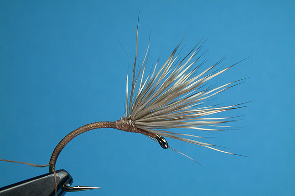 Deer hair wing, and thread tag end left for the rib