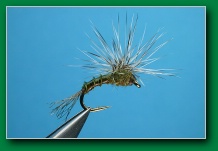 stacked_emerger_bwo