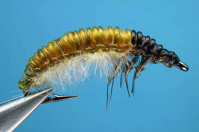 Woven Caddis Larva