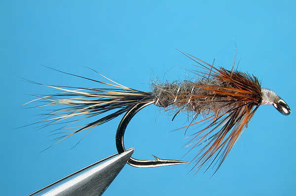 The Producer (BWO Nymph)