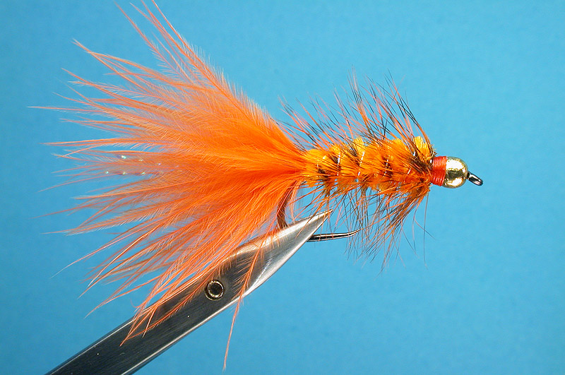 Orange Woolly Bugger