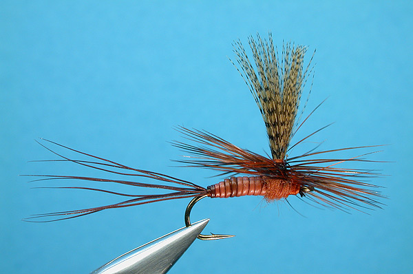 Red Quill Parachute