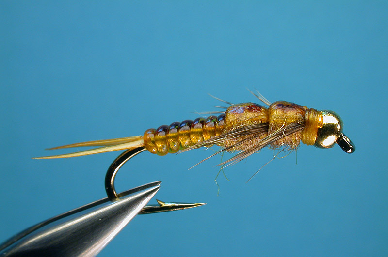 Bead Head "D" Rib Golden Stone - Image source: Carl Pennington