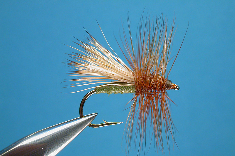 Razor Foam Caddis