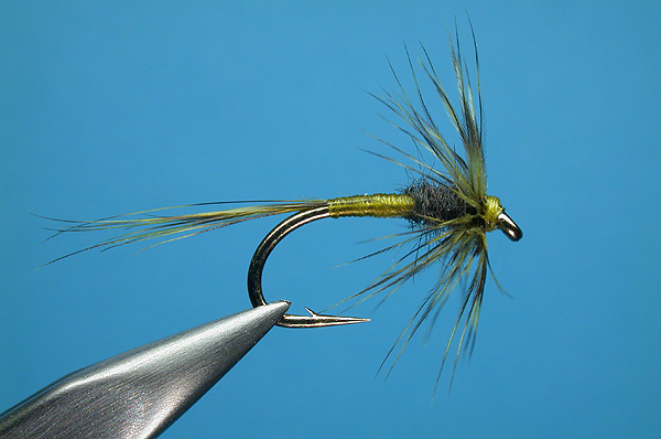 Emerging Buzzer II (olive)