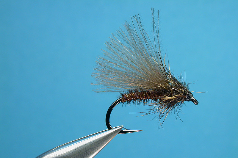 Pheasant Tail Caddis