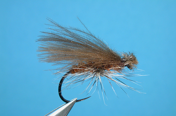 CDC Caddis