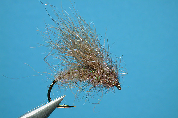 SSRF Caddis