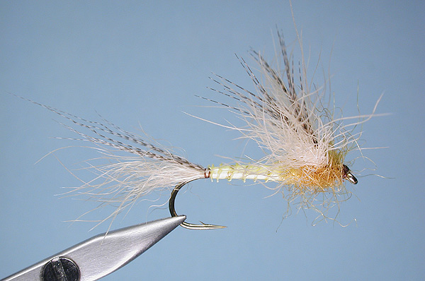 SSRF Emerging Mayfly