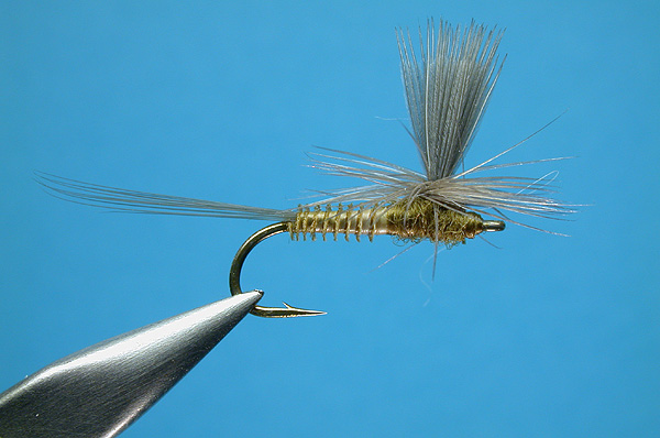 BWO Parachute