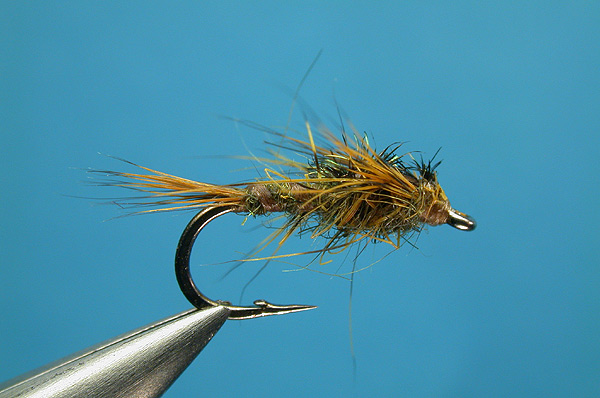 BWO Nymph