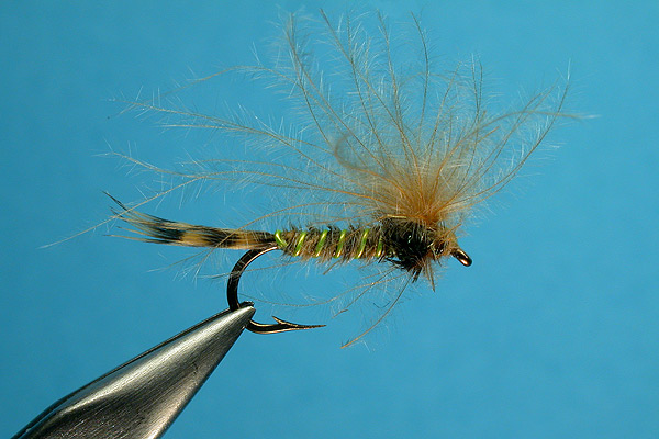 Green Drake Emerger