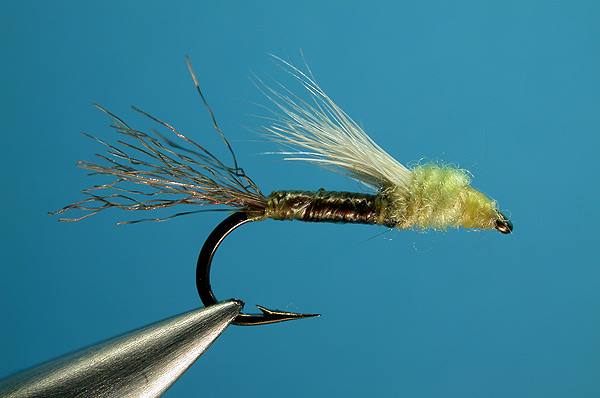 Pre-emergent PMD Nymph