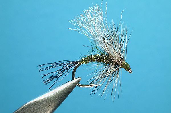 Jeremy’s Mountain Midge