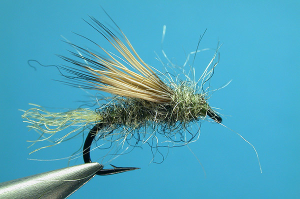 X-Caddis