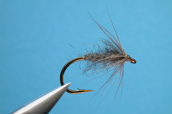 Blue Dun Flymph