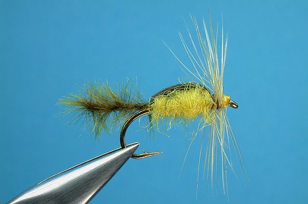 Olive & Yellow Emerger