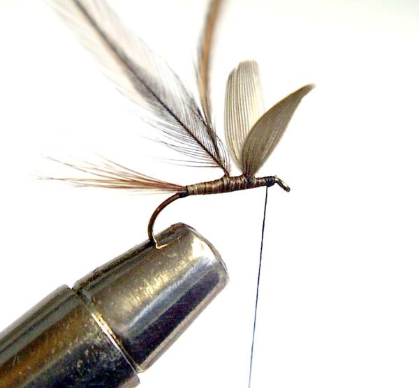 Fly Tying with Hans- Bottom Tick-ler 