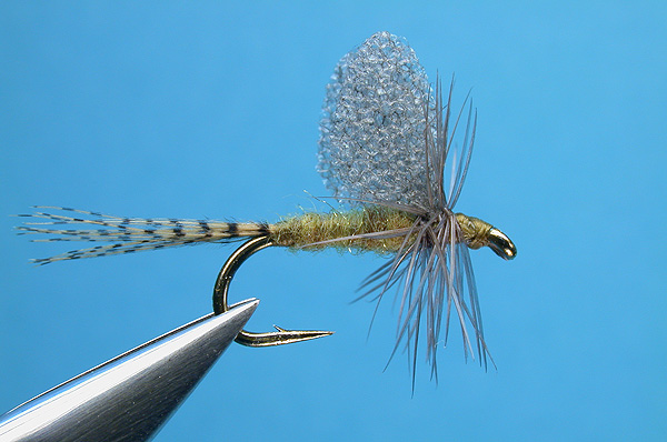 Foam Wing BWO