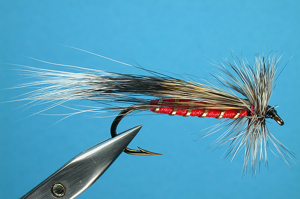 Squirrel Tail Stonefly