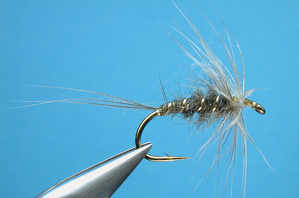 Blue Dun Hackle