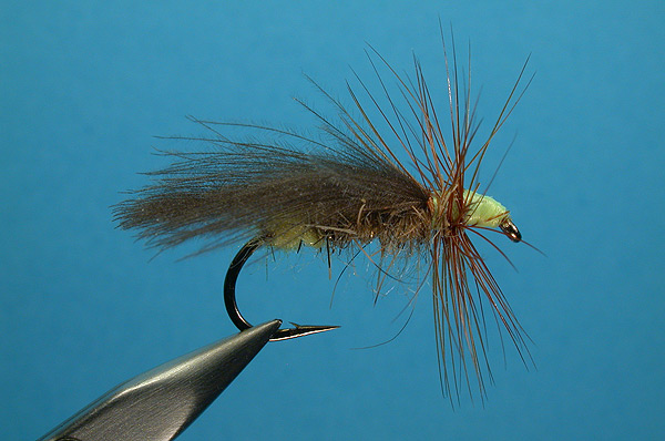 CDC Green Willow Sedge