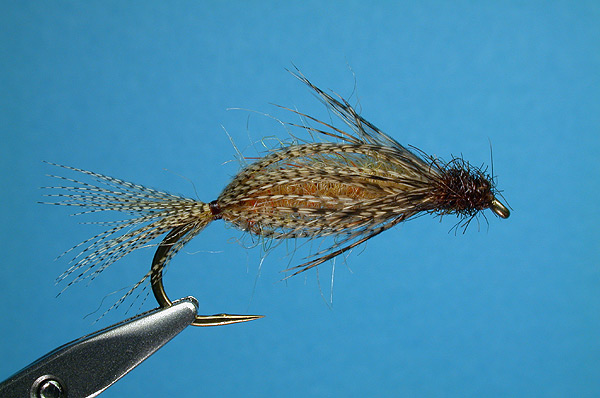 Henry's Lake Caddis