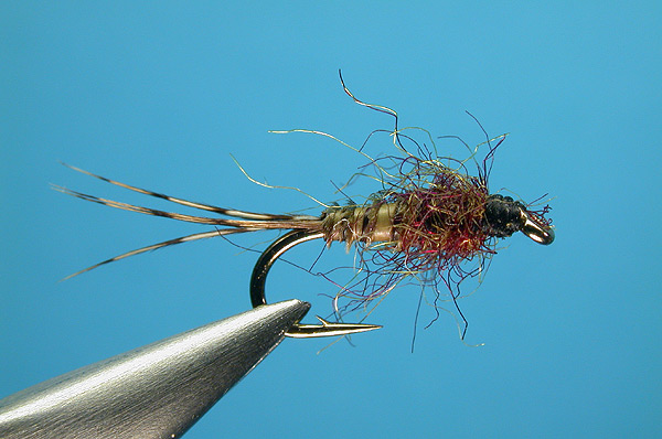 BWO Nymph