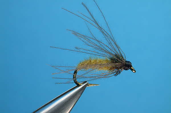 Little Target Emerger