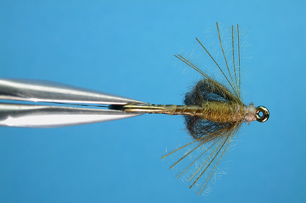 BWO CDC Floating Nymph
