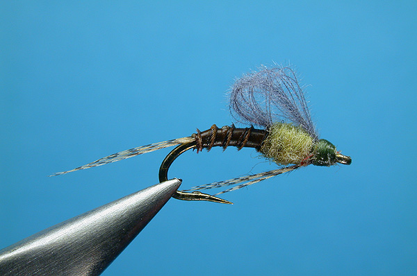 Biot Body BWO Emerger