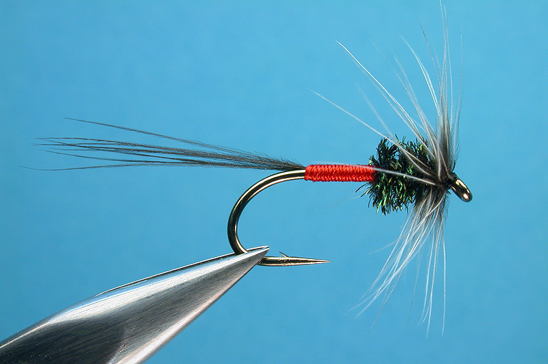 Soft Hackle Spruce Fly