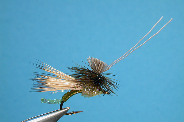 A.C. (Anything Caddis)