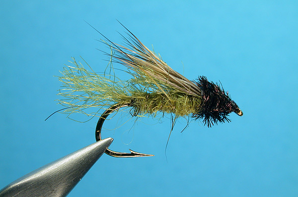 Caddis Emerger