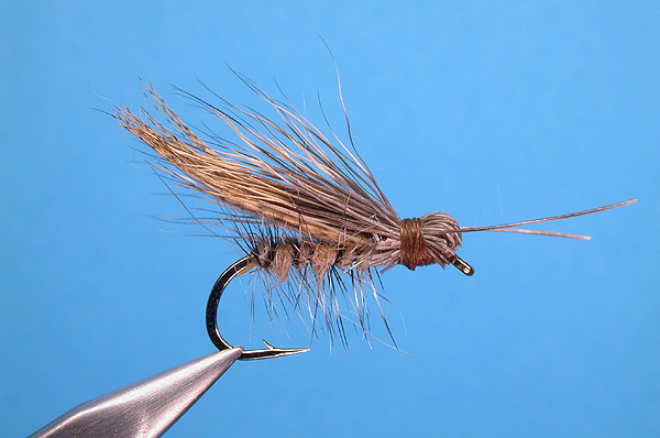 Yakima Caddis