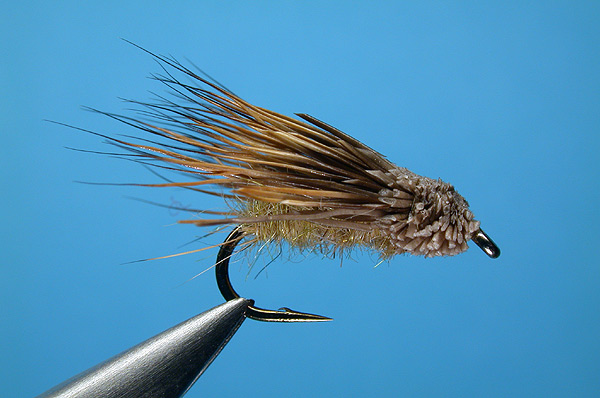 Streaking Caddis